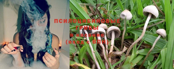 COCAINE Карпинск
