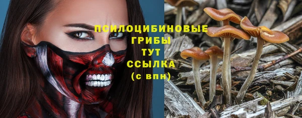 скорость Касимов