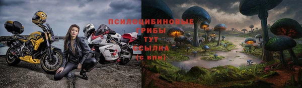 скорость Касимов