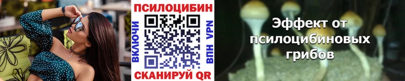Купить где  Видное  Галлюциногенные грибы MAGIC MUSHROOMS 